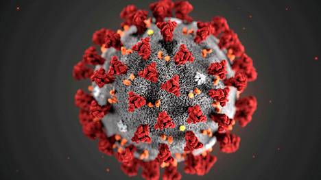 Yhdysvaltain CDC:n julkaisema kuva osoittaa, miltä koronavirus näyttää.