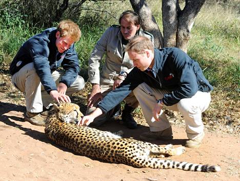 Kuva vuodelta 2010. Harry ja William ovat harrastaneet aiemminkin villieläinturismia.