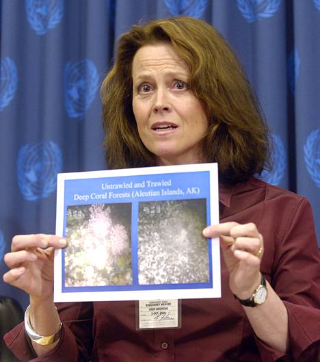 Weaver näytti kuvia valtameren pohjassa lokakuussa 2006 New Yorkissa järjestetyssä YK:n lehdistötilaisuudessa, jossa käsiteltiin avomeren pohja­troolausmenetelmien aiheuttamia tuhoja. 