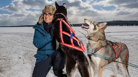 Huskytilalla vierailu ja koiravaljakolla ajelu olivat Eugene Levylle Suomi-vierailun selvästi hauskimpia kokemuksia.
