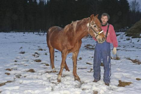Suomen vanhin hevonen Scotch Prince on varsinainen rakkauden jumala - Ravit  - Ilta-Sanomat