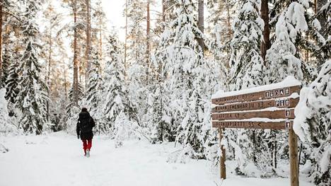 Valkmusan kansallispuistossa voi patikoida, hiihtää tai vaikkapa lumikenkäillä.