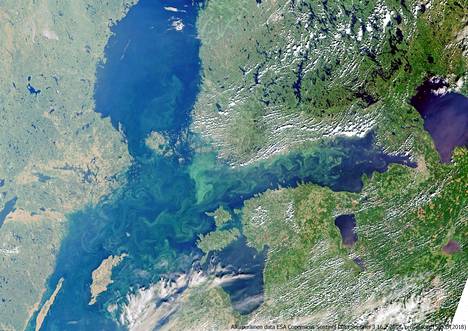 Yksi satelliittikuva paljastaa Suomenlahden karun tilanteen – näin  tunnistat, onko mökkirannassasi sinilevää - Kotimaa - Ilta-Sanomat