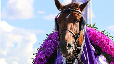 Kuninkuusravit: Evartti nousi legendojen joukkoon - Ravit - Ilta-Sanomat