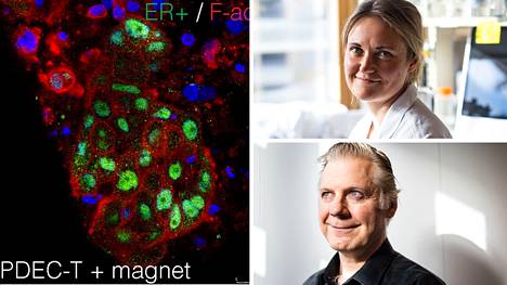 Pauliina Munne ja Juha Klefström ovat mukana tutkimusryhmässä, joka onnistui tekemään uuden työkalun rintasyövän tutkimiseen.