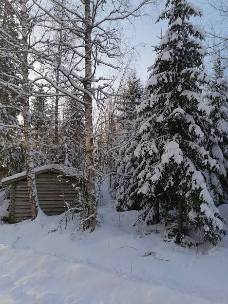 Vanhan torpan lisäksi Savijoki osti hieman alle kaksi hehtaaria metsää.