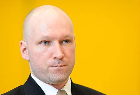 ”Hänen tekonsa ovat pohjimmiltaan äärimmäinen esimerkki hinnasta, joka yhteiskunnan pitää maksaa lastensuojelun riittämättömyydestä”, psykologi sanoi poliisille Breivikin tekemän joukkosurman jälkeen.