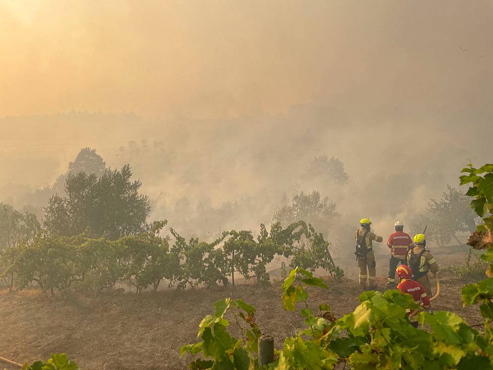 Portugalin yleisradioyhtiö RTP:n mukaan palossa loukkaantui lievästi neljä siviiliä ja palomiestä. 