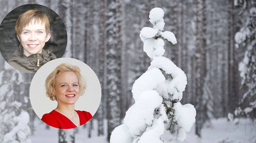 MTK:n metsälinjan kenttäpäällikkö Annakaisa Heikkonen (vas.) ja Metsäteollisuuden pääekonomisti Maarit Lindström pitävät metsäsijoittamista hyvänä tapana vaurastua.