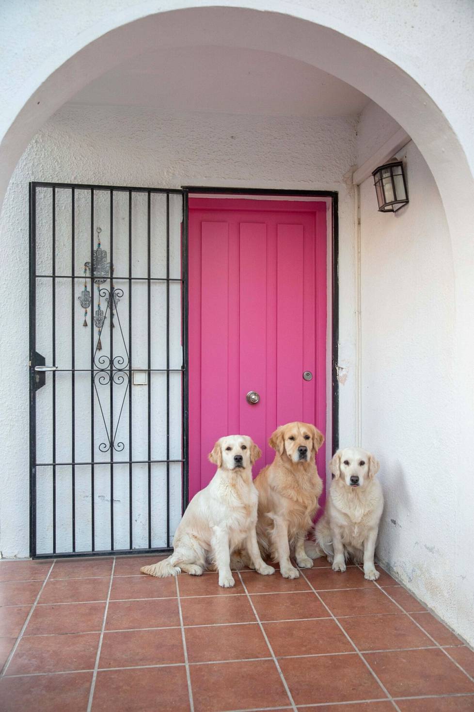 Anni haaveili talosta, jossa on pinkki ovi. Kuvassa Annin koirat Maissi, Bolo ja Kookos. 