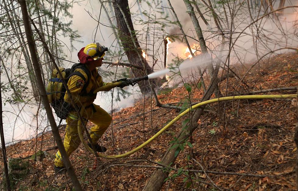 Palomiehet ovat taistelleet taukoamatta päiväkaupalla maastopaloja vastaan.