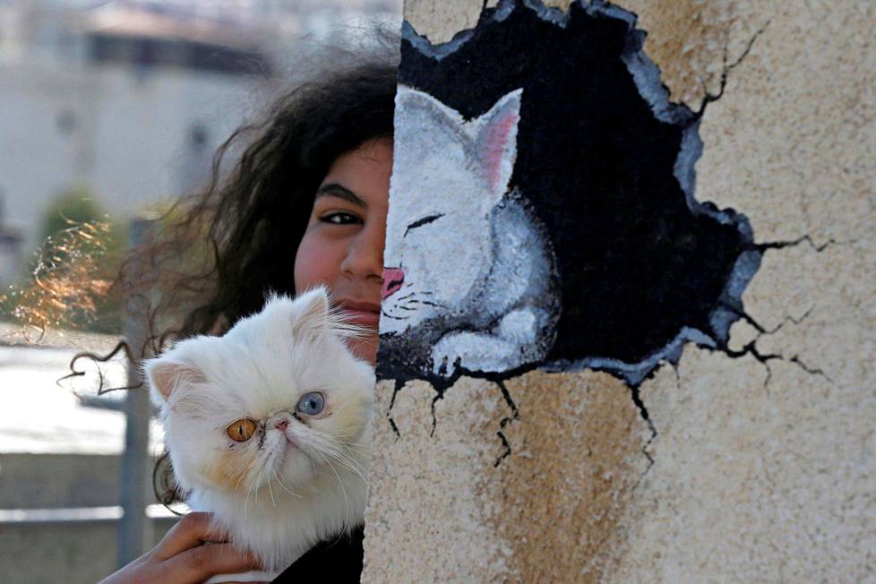 Surrealistinen aika.  Jordanian pääkaupungin Ammanin ulkonaliikkumiskiellon aikana asukkaat ovat innostuneet tekemään seinämaalauksia.