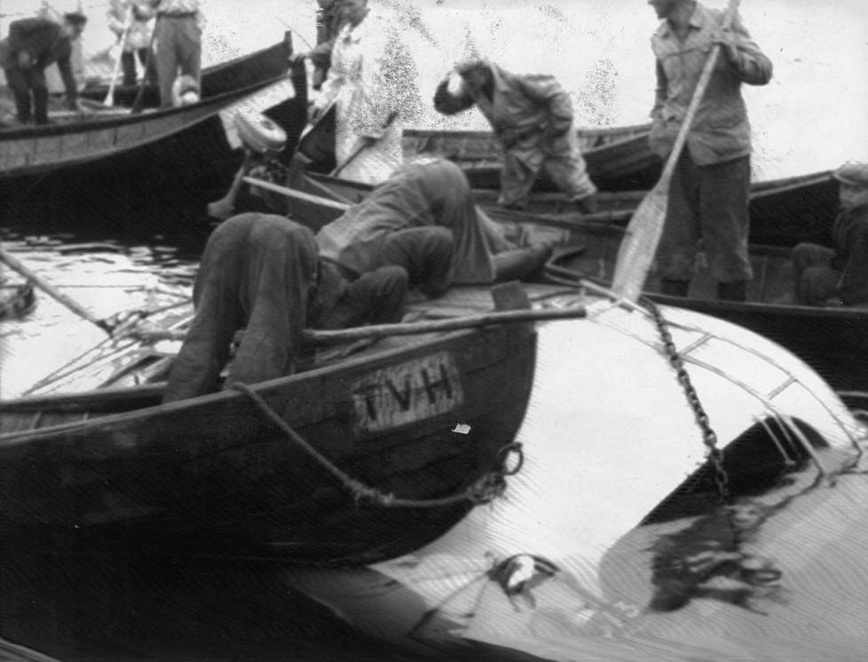 Pelastustöihin osallistui monia paikallisia veneineen.
