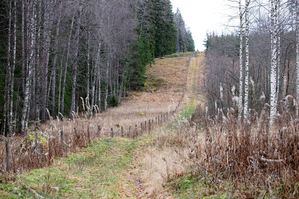 Suomen ja Venäjän raja kuvattuna Nuijamaan raja-aseman eteläpuolella Kolarin kylätien läheisyydessä. 