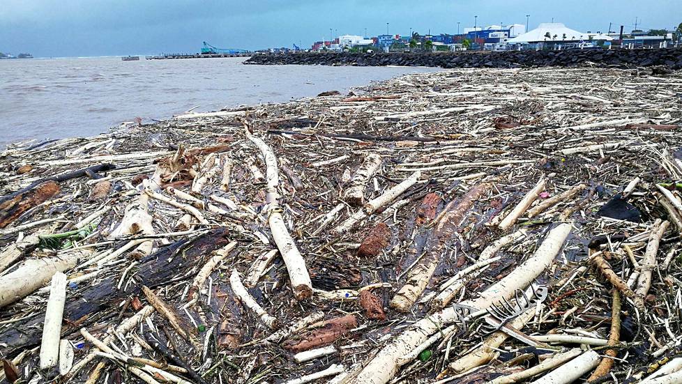 Gita-syklonin rantaan puskemia puita Samoalla.