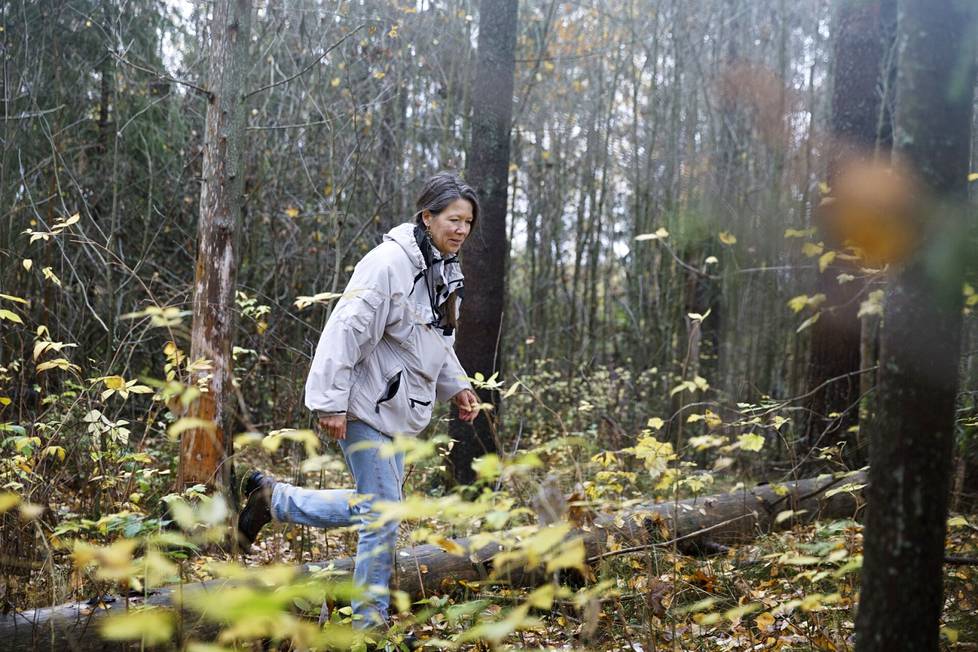 Kaarina Davis kävelee lähimetsässään päivittäin. Metsässä kulkeminen rauhoittaa ja terävöittää aisteja.