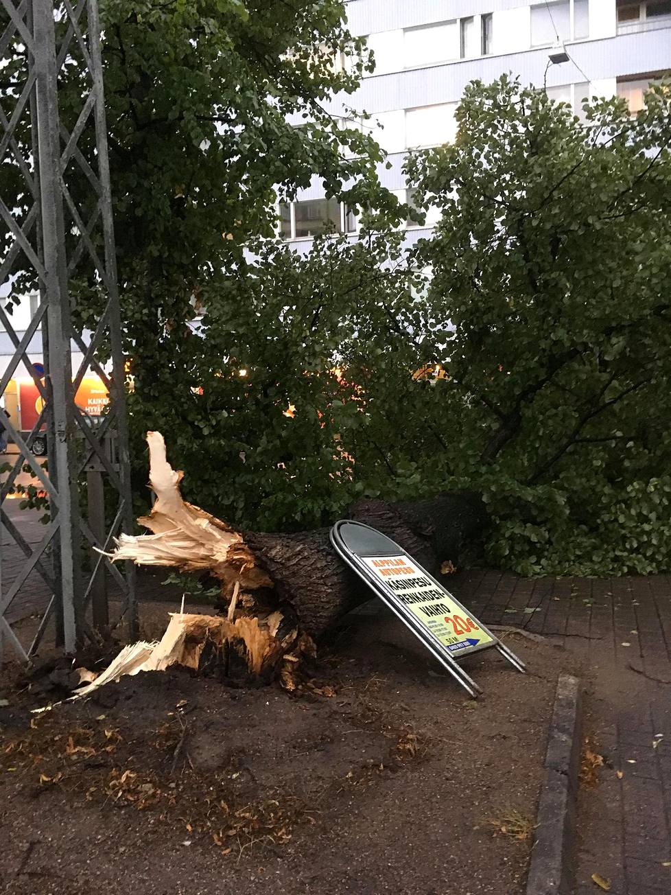 Helsingin Alppilassa puu kaatui osittain ajoväylälle.