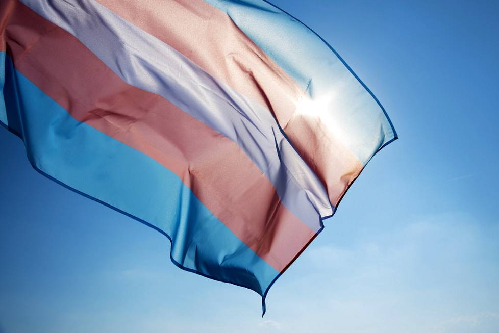 Transsukupuolisuutta symboloivaa lippua koristavat vaaleansiniset ja -punaiset raidat.