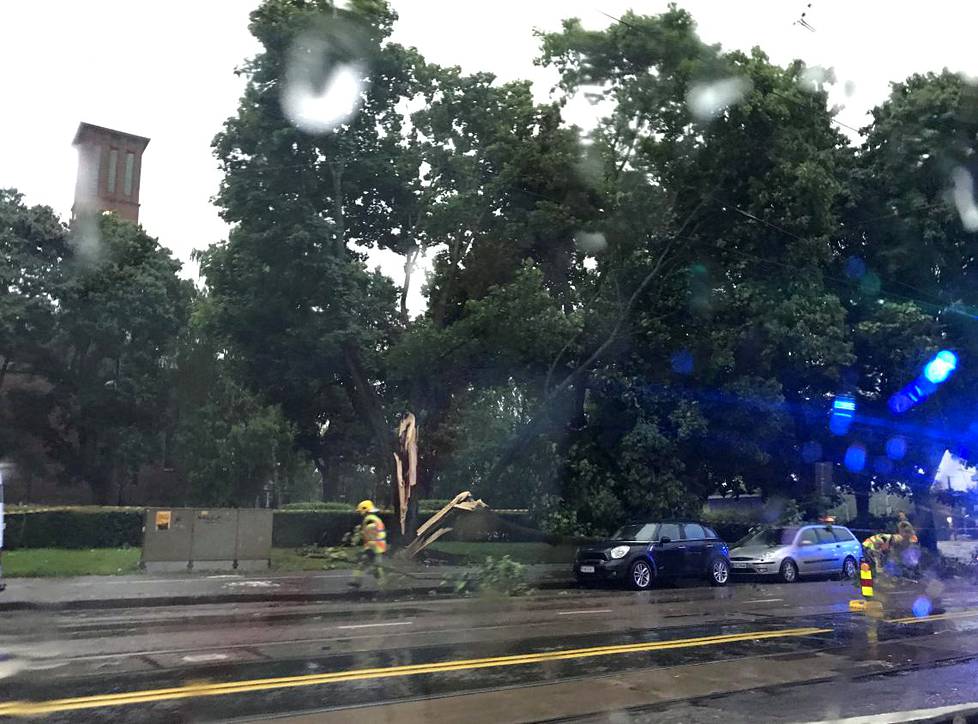 Puu kaatui osittain auton päälle Helsingissä.