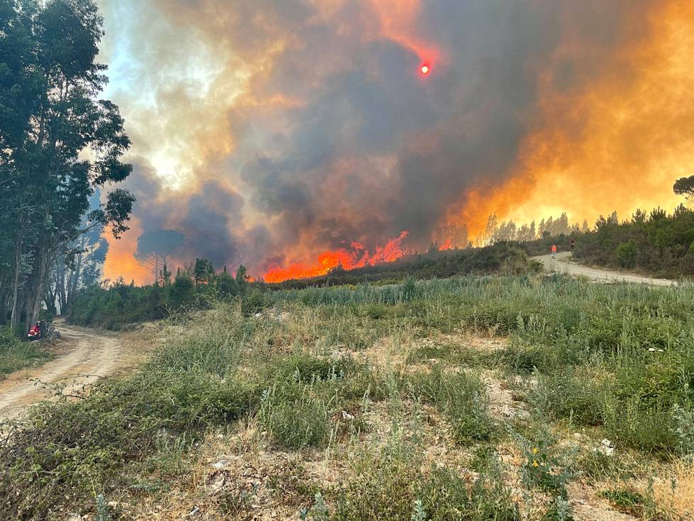 Portugalin tulipaloissa on palanut 7?000 hehtaaria metsää.