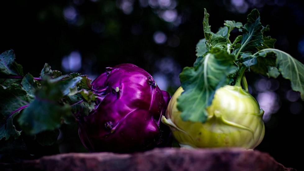 Kyssäkaali voi olla väriltään vihreä tai lila. Moni vähähiilihydraattista ruokavaliota noudattava korvaa sillä perunan. 
