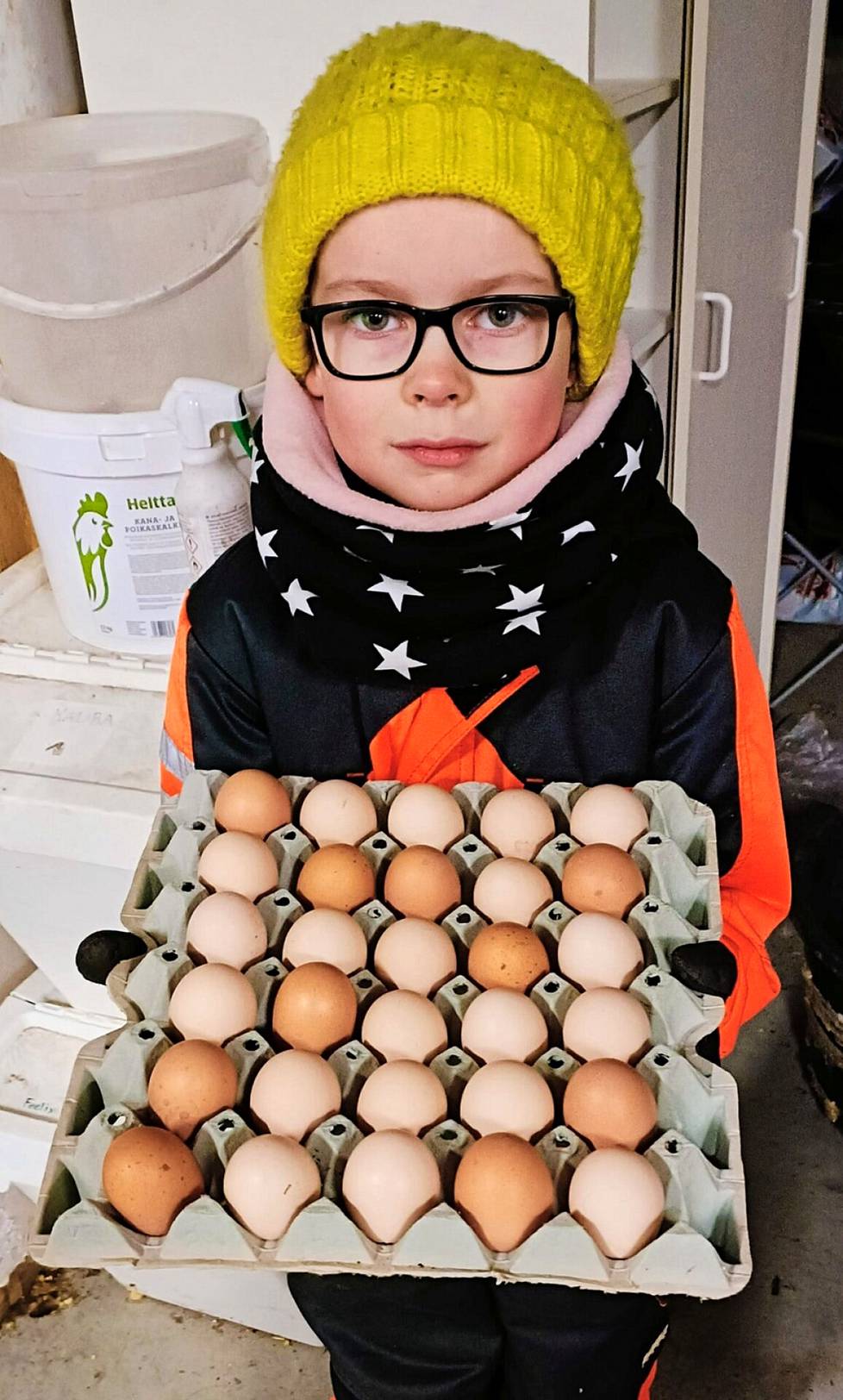 Kananmunia perheen ei ole tarvinnut ostaa kaupasta aikoihin.