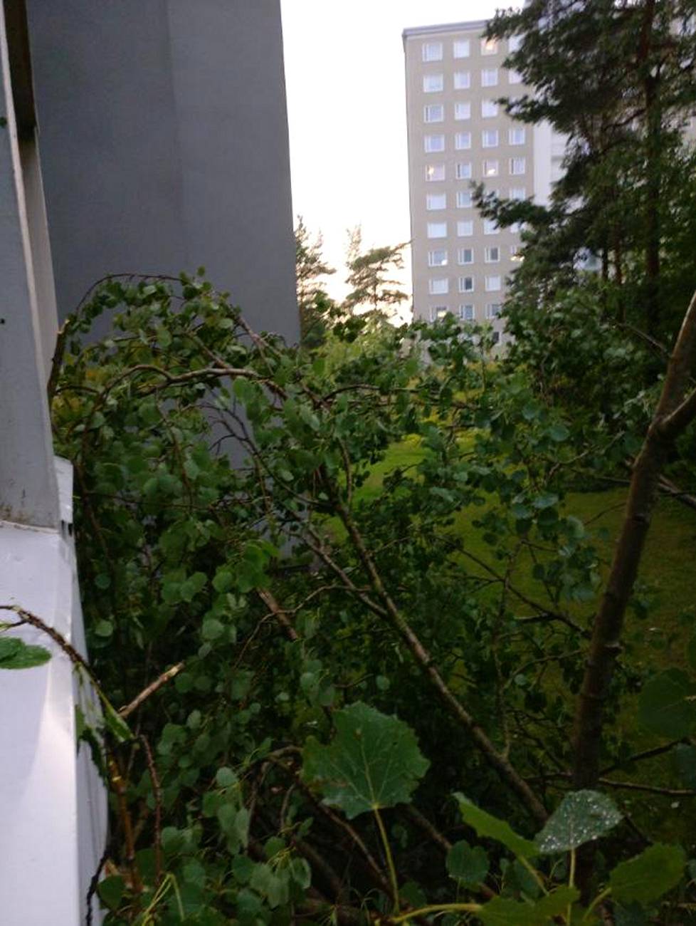 Pohjois-Haagassa sijaitsevan kerrostalon parveketta vasten kaatui puu hajottaen yhden parvekelasin.