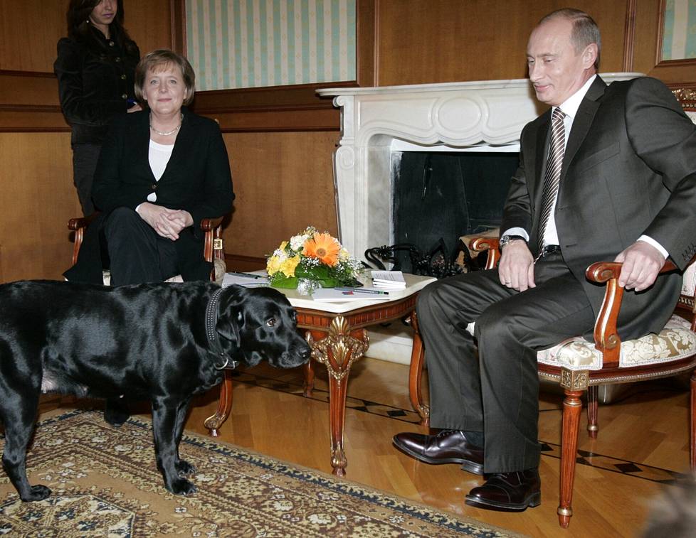Angela Merkelin tavatessaan Vladimir Putin toi kokoushuoneeseen koiransa Konin.