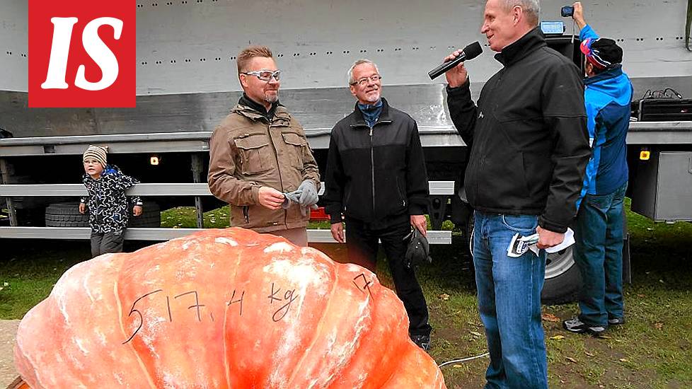 Suomen suurin kurpitsa on jälleen valittu! - Kotimaa - Ilta-Sanomat