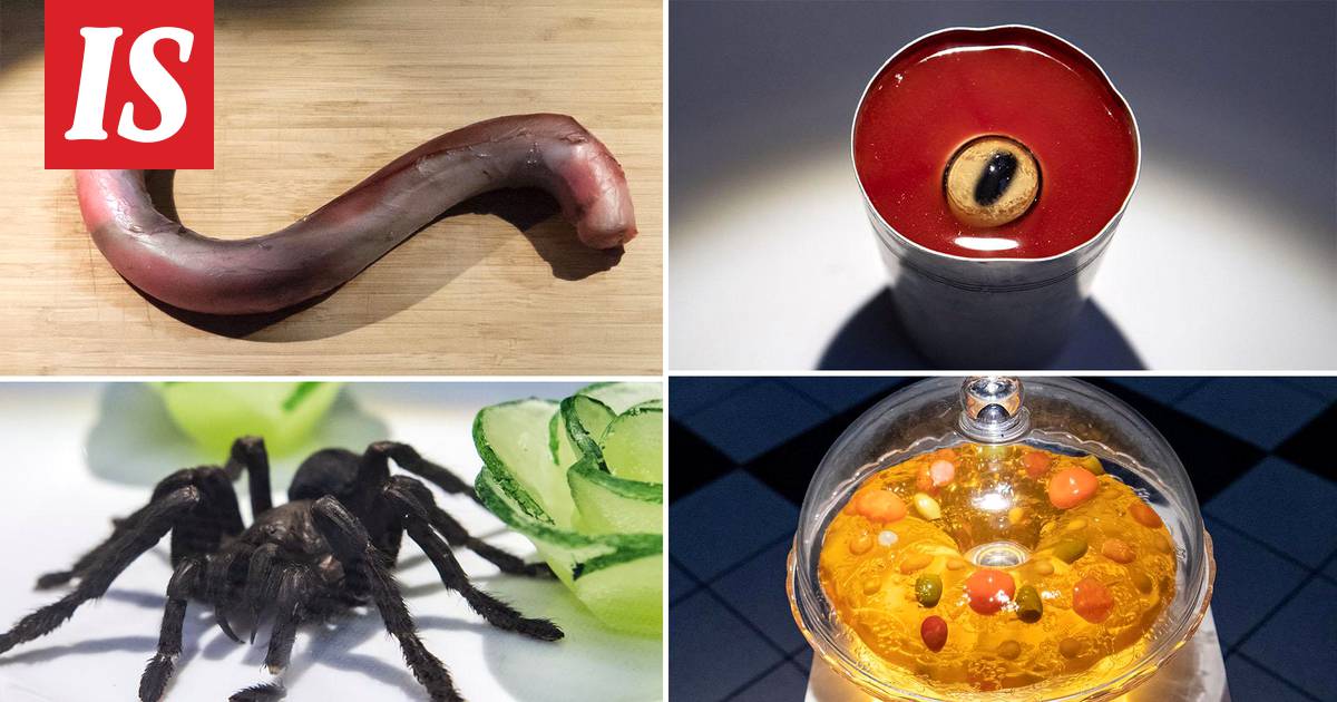 Maistaisitko näitä? Maailman ällöttävimpien ruokien näyttely avasi ovensa,  mukana myös Ruotsin ”karmein ruoka” - Ajankohtaista - Ilta-Sanomat