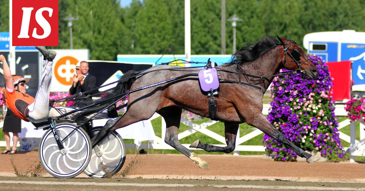 Viiden sentin voitto 12 kuukautta aikaisemmin mahdollisti legendaarisen  suomalaisravurin suurimman triumfin - Ravit - Ilta-Sanomat