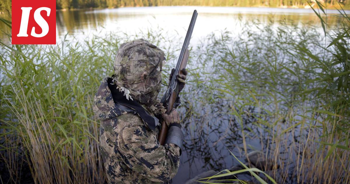 Monet metsästysseurat kaipaavat kipeästi nuoria riveihinsä – toiset taas  saattavat evätä jäsenyyden puuttuvien suhteiden vuoksi - Kotimaa -  Ilta-Sanomat