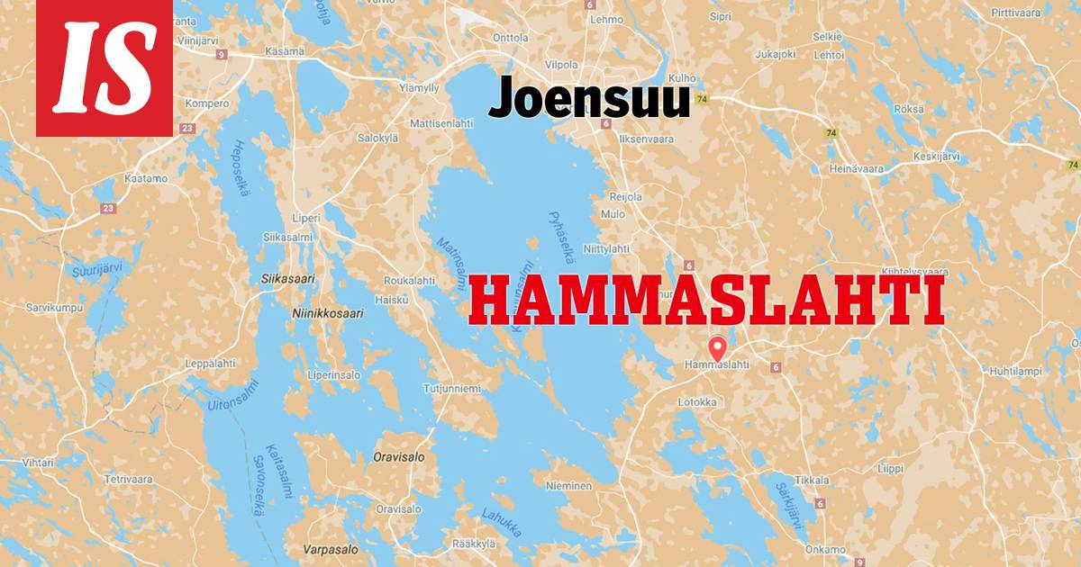 Lehmä ammui apua lietekourussa – utareet joutuivat koville - Kotimaa -  Ilta-Sanomat