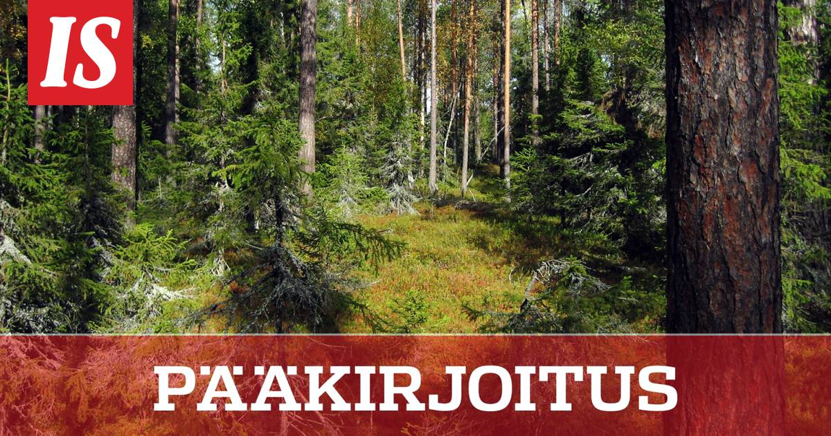 Metsät ovat Suomen oma asia - Pääkirjoitus - Ilta-Sanomat