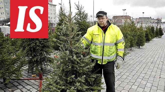 Joulukuusi, hinta, Helsinki: Joulukuusten hinnoissa hurjat erot - Kotimaa -  Ilta-Sanomat