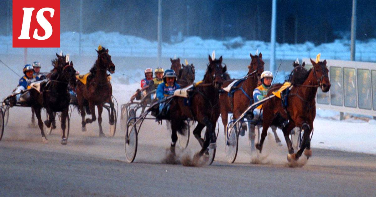 Siikajärven sissi lähtee yrittämään hevosineen rajan yli Ruotsiin –  ihmettelee tullin ohjeita - Ravit - Ilta-Sanomat