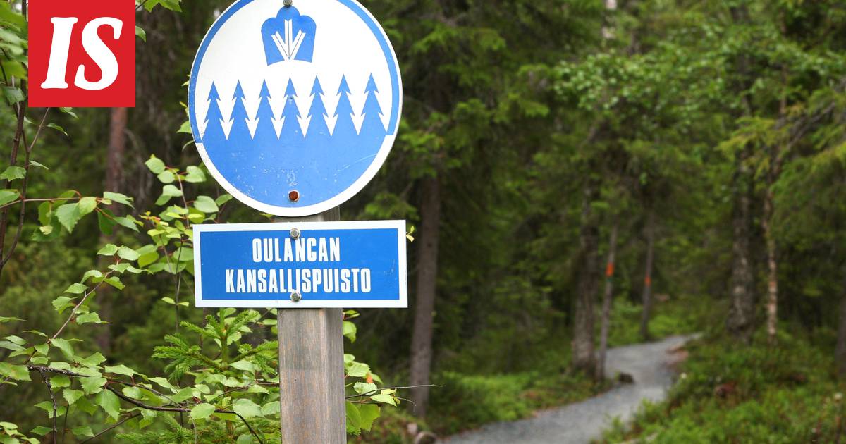 Tällainen on Euroopan top 10 -listalle valittu Oulangan kansallispuisto –  katso mykistävät luontokuvat - Matkat - Ilta-Sanomat