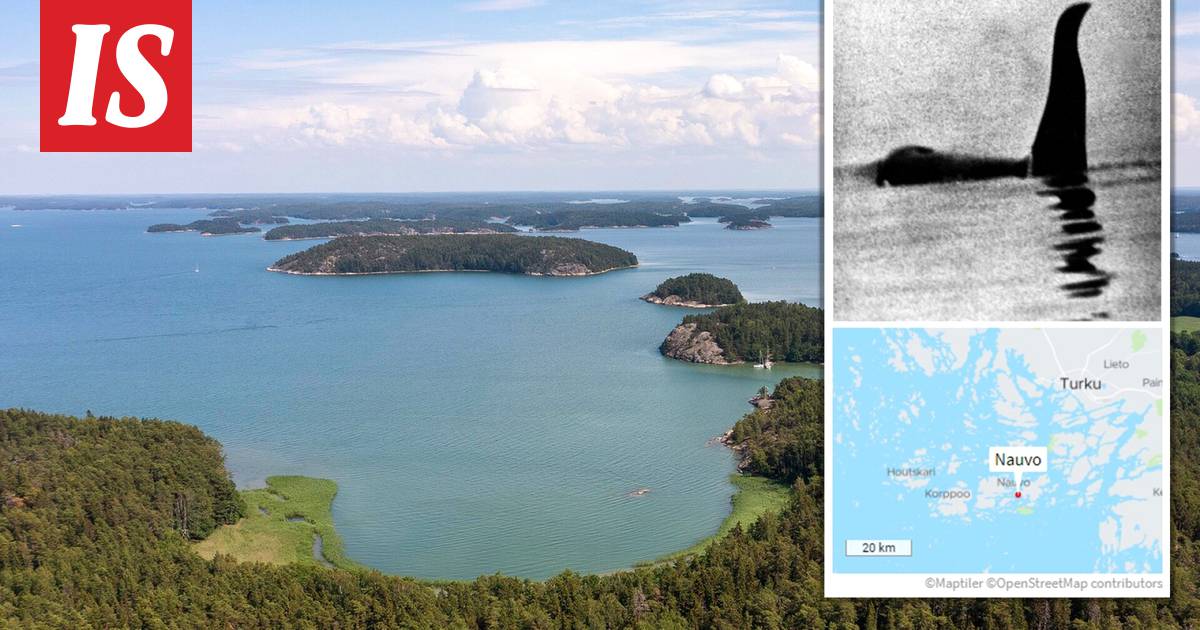 Nähtiinkö Paraisilla Loch Nessin hirviön Turun serkku vai valas: ” Sukellusvene se ei ollut” - Turun seutu - Ilta-Sanomat