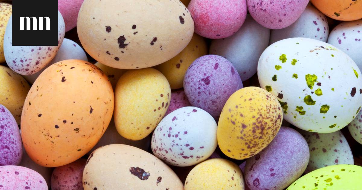 Mikä munavitsi kuvastaa sieluasi? Vastaa 10 kysymykseen, niin testi  paljastaa vastauksen – ja saat tietää syvimmän olemuksesi - Vapaalla -  Ilta-Sanomat