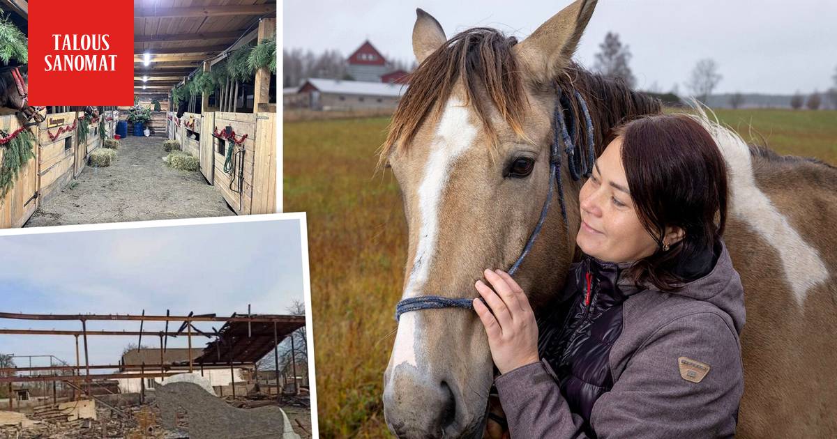Ukrainalainen Lisa pelasti hevosensa ja koiransa Suomeen - Taloussanomat -  Ilta-Sanomat